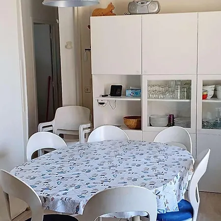 T3 Climatise Avec Terrasse - Acces Plage, Animaux Acceptes - Fr-1-610-122 *