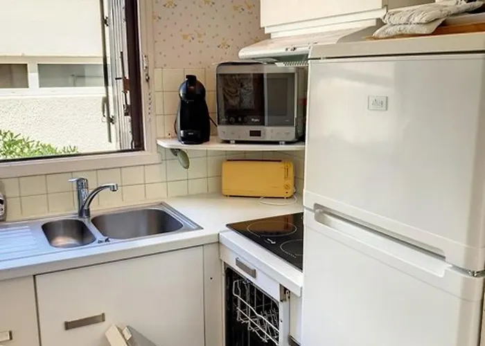 T3 Climatise Avec Terrasse - Acces Plage, Animaux Acceptes - Fr-1-610-122 Apartamento