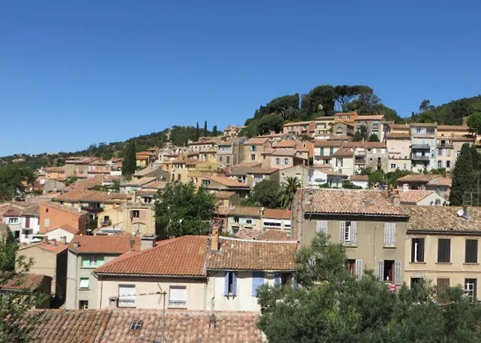 T3 Climatise Avec Terrasse - Acces Plage, Animaux Acceptes - Fr-1-610-122 Apartamento Bormes-les-Mimosas